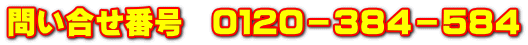 問い合せ番号　０１２０－３８４－５８４